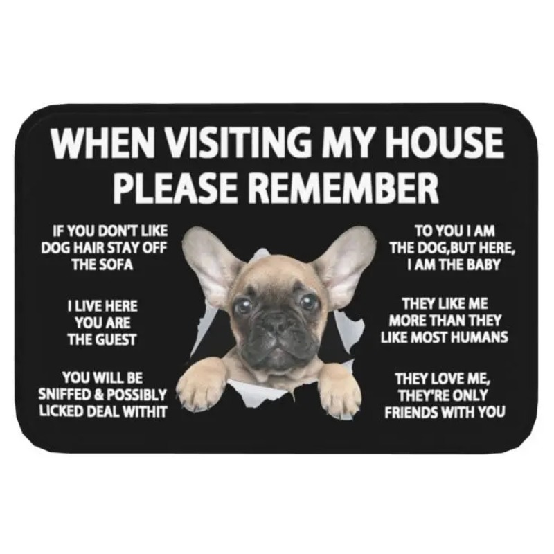 Bathroom Home Visit - Pet Doormat When Visiting My House