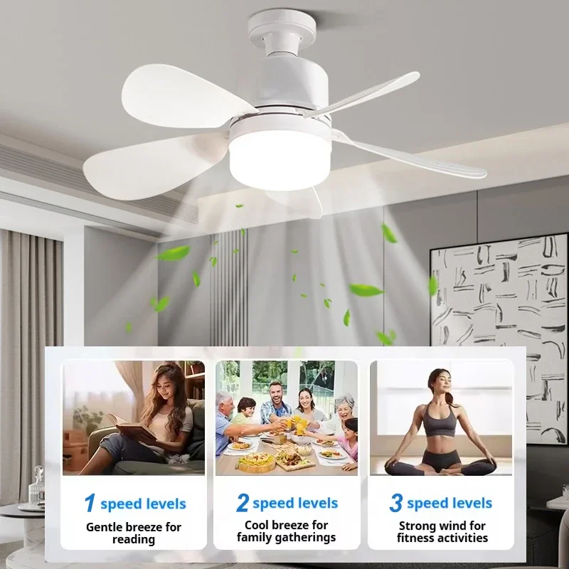 16 Inch 2-in-1 Ceiling Fan wit - Home Bathroom Fan ulasan dan harga